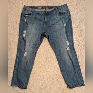 KUT from the Kloth Katy Boyfriend Distressed Jeans Plus 24W